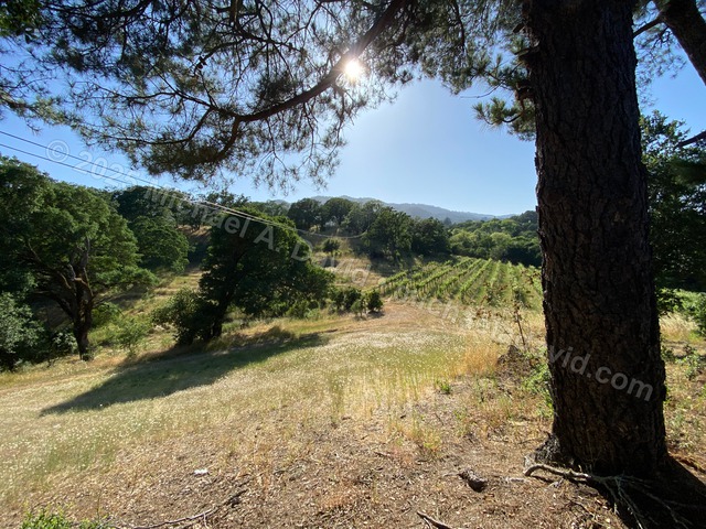 nature_2023-06-02 17.37.38-2023.jpg